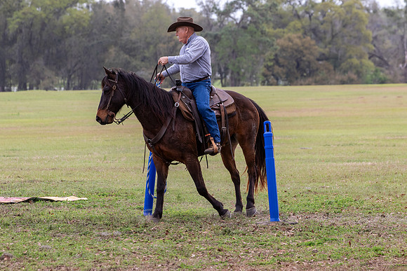 FLHorseParkRace-302