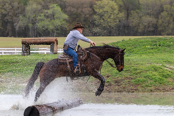 FLHorseParkRace-304
