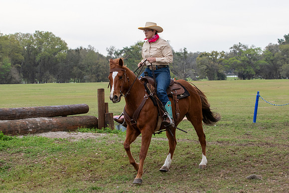 FLHorseParkRace-169
