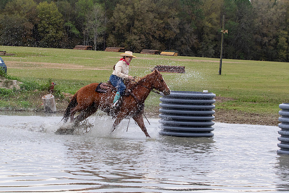 FLHorseParkRace-171