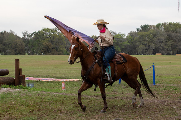 FLHorseParkRace-172