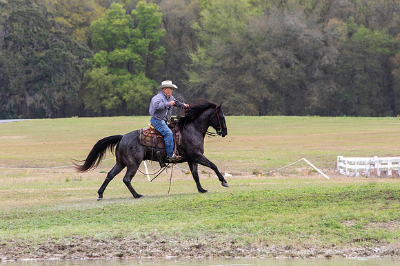 FLHorseParkRace-332