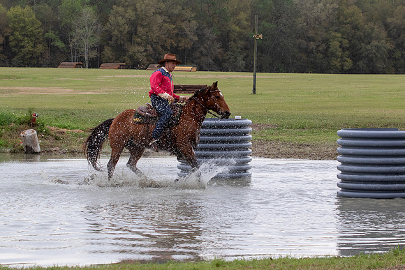 FLHorseParkRace-197