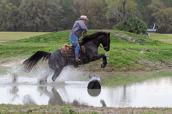 FLHorseParkRace-128
