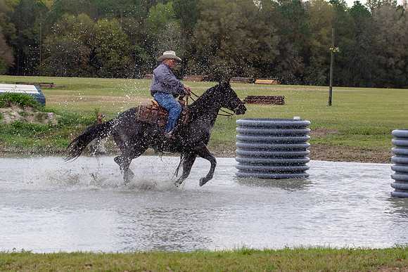 FLHorseParkRace-130