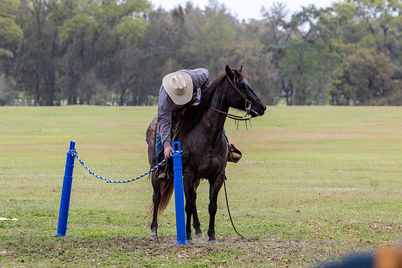 FLHorseParkRace-333