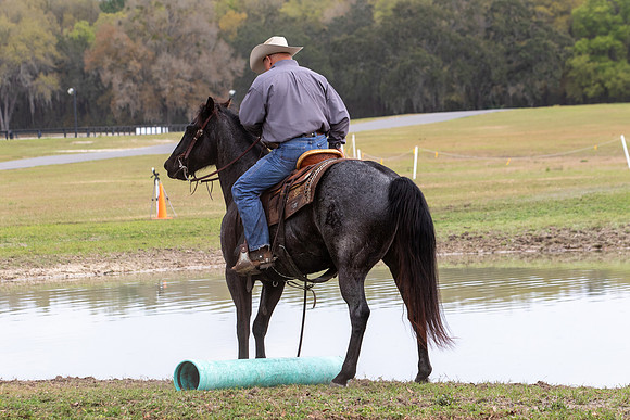 FLHorseParkRace-335