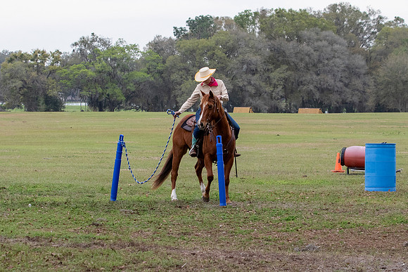 FLHorseParkRace-166