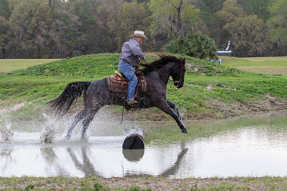 FLHorseParkRace-129