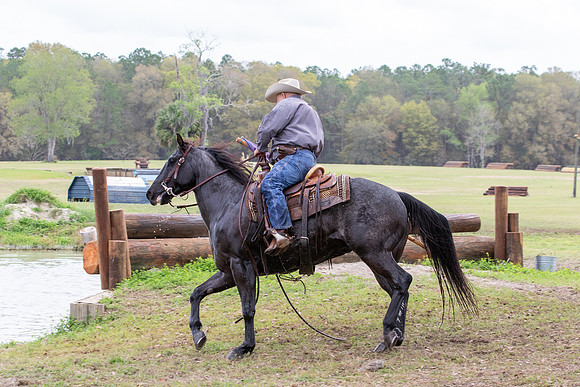 FLHorseParkRace-338