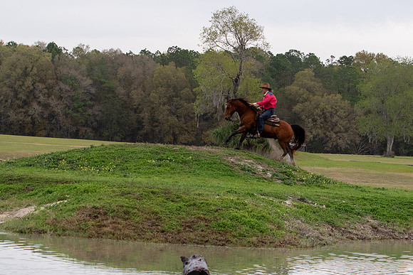 FLHorseParkRace-198