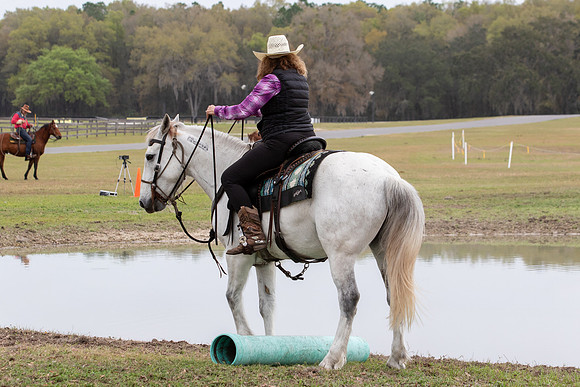 FLHorseParkRace-315