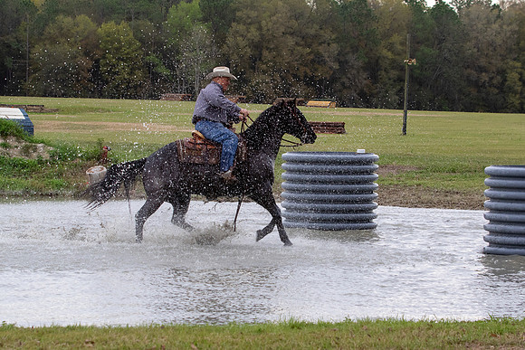 FLHorseParkRace-131