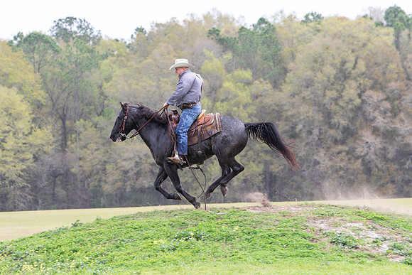 FLHorseParkRace-340