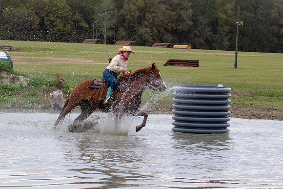 FLHorseParkRace-170