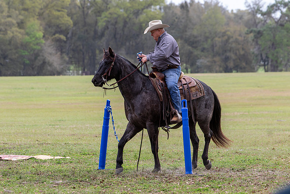 FLHorseParkRace-334