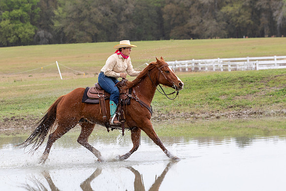 FLHorseParkRace-280