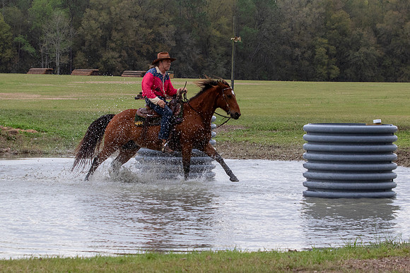 FLHorseParkRace-114