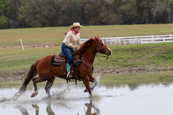 FLHorseParkRace-281