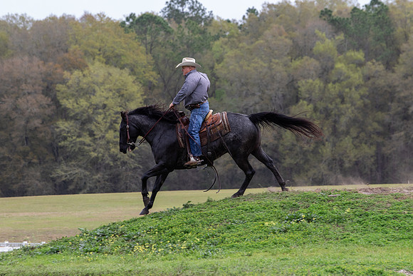 FLHorseParkRace-341