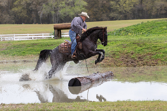 FLHorseParkRace-336