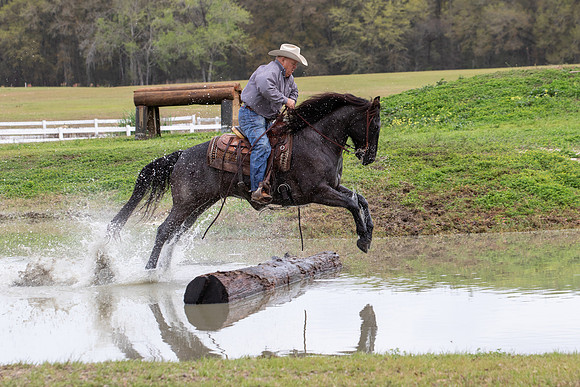 FLHorseParkRace-337