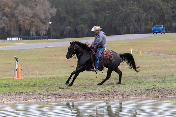 FLHorseParkRace-343