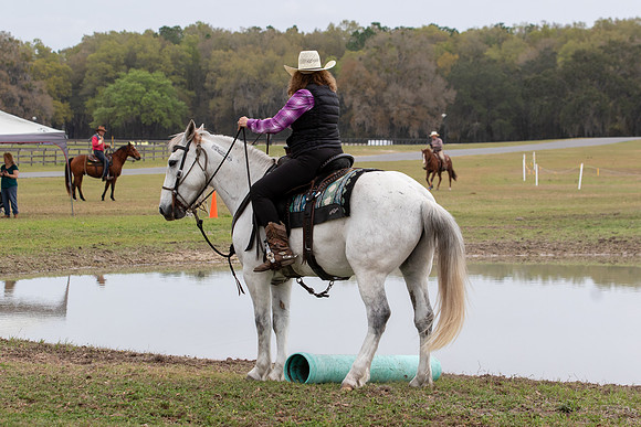 FLHorseParkRace-314