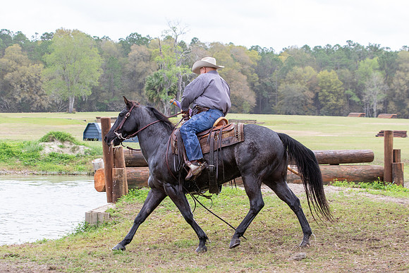 FLHorseParkRace-339