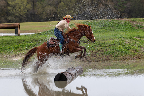 FLHorseParkRace-282