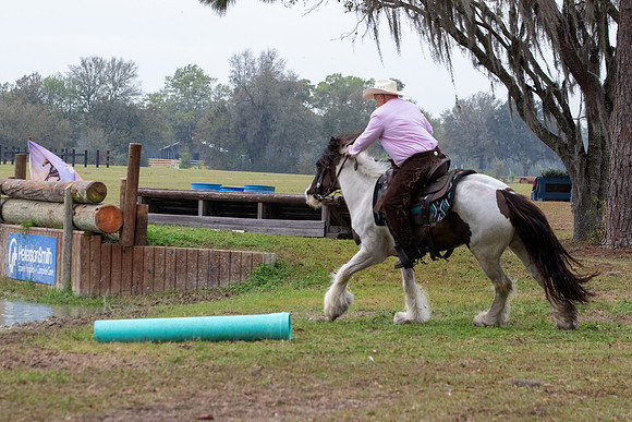 FLHorseParkRace-77