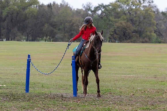 FLHorseParkRace-426