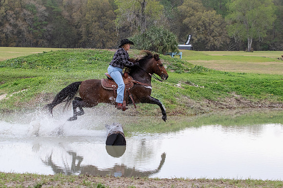 FLHorseParkRace-148