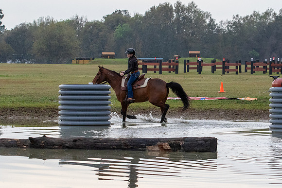FLHorseParkRace-17