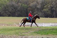 FLHorseParkRace-421