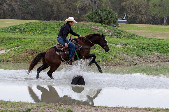 FLHorseParkRace-159