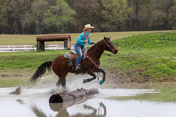 FLHorseParkRace-374