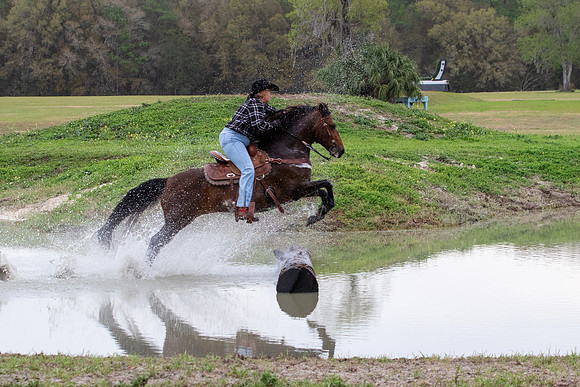 FLHorseParkRace-147
