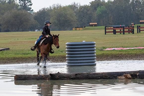 FLHorseParkRace-20