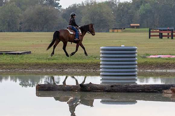 FLHorseParkRace-2