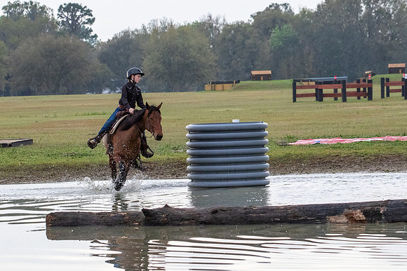 FLHorseParkRace-19