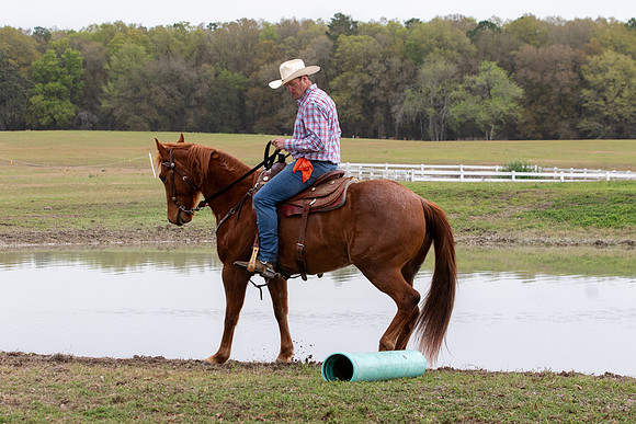 FLHorseParkRace-235