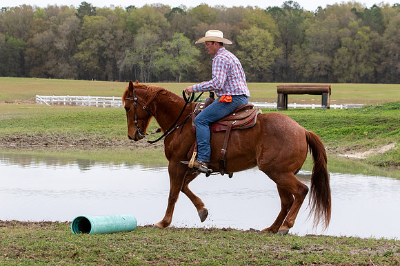 FLHorseParkRace-237