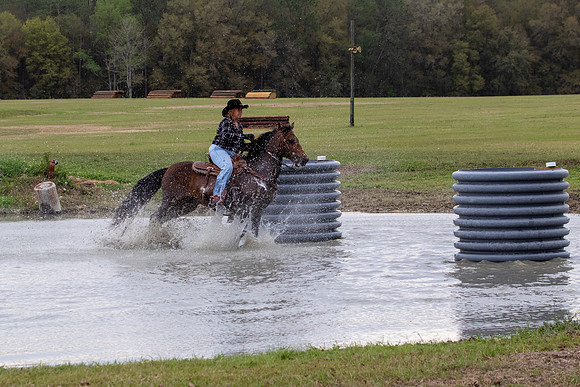 FLHorseParkRace-149