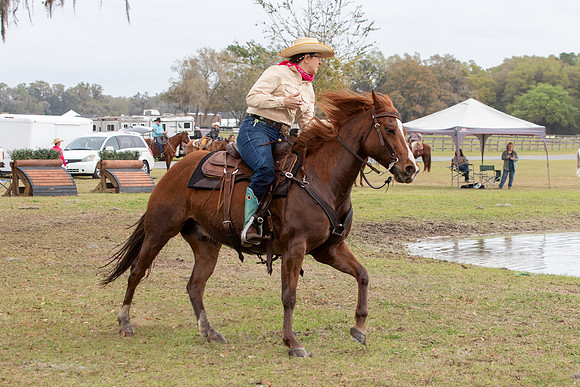 FLHorseParkRace-291