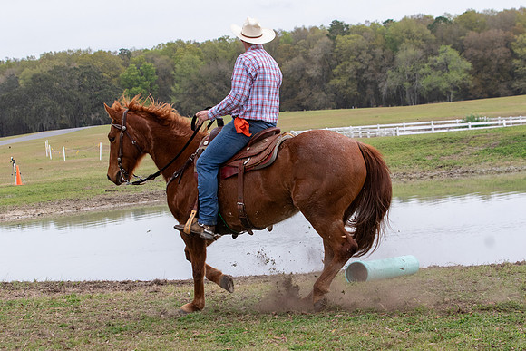 FLHorseParkRace-234