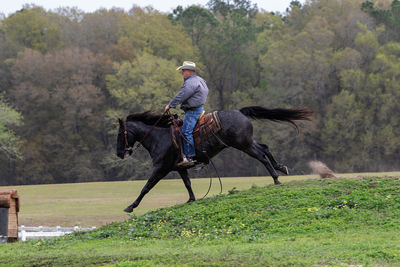 FLHorseParkRace-342