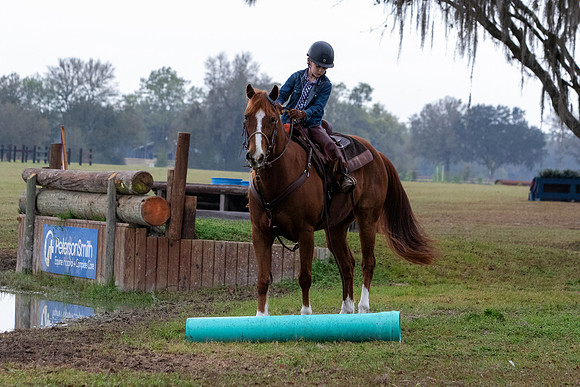 FLHorseParkRace-52