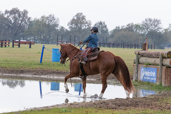 FLHorseParkRace-54