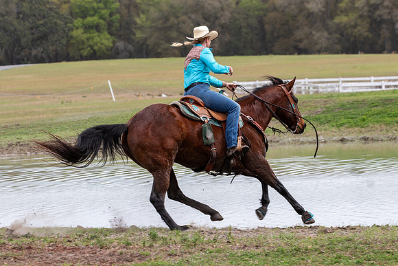 FLHorseParkRace-379